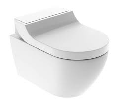 Rimless Shower Toilet Rsf Bathrooms
