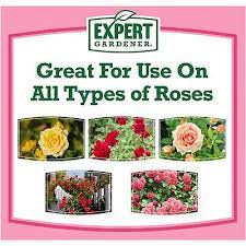 Expert Gardener Rose Plant Food