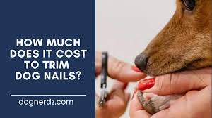 how much does it cost to trim dog nails