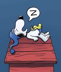 Night-night! | Goodnight snoopy, Snoopy sleeping, Snoopy