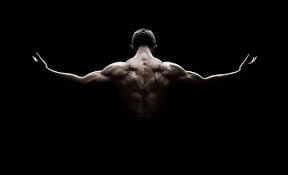 bodybuilding images browse 666 503