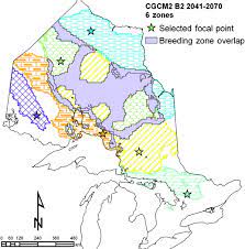 Optimal white spruce breeding zones for Ontario under current and future  climates