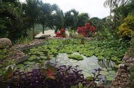 Palm Tree Gardens Grenada Tourism