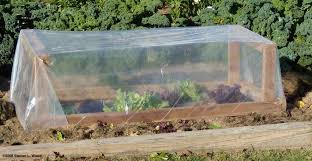 A Simple Cold Frame