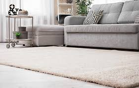 premium carpet cleaning clean pro