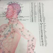 Chinese Medical Acupuncture Points Charts