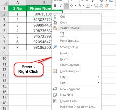 format phone numbers in excel how to