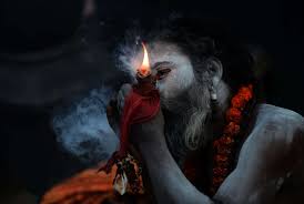 how india celebrated maha shivaratri