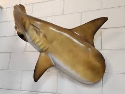 Hammerhead Shark Wall Mount Sporting
