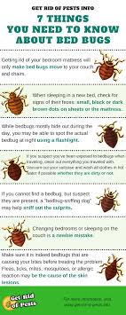 pin on bed bug infographic