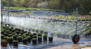Irrigation Efficiency Nursery Management