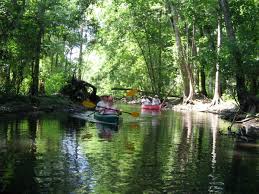 Hillsborough river state park kayaking. Kayaking The Hillsborough River Of Central Florida Skyaboveus