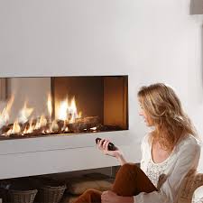 Gas Fireplace Fireplaces