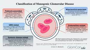 Genomics In Glomerular Disease From
