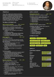 Resume Examples By Real People Cyber Security Account Manager