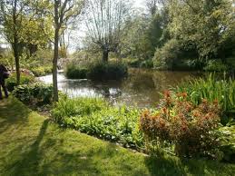 westonbury mill water gardens picture