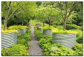 Fruit Trees And Corrugated Metal