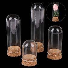 1 6 Doll Glass Dome Display Wood Cork