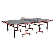 s chionship table tennis table