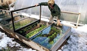 Choosing A Cold Frame That Works For