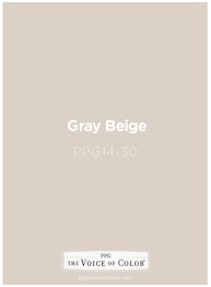 gray beige paint color is a part of the