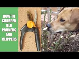 how to sharpen old pruners and clippers