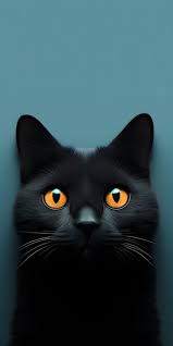Page 41 Black Cat Eyes Images Free
