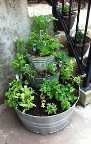 Diy Vertical Herb Garden Plants