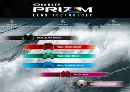 Oakley Airbrake Xl Goggle Lenses All Colours Prices Vary