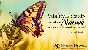 Vitality Quotes Images and Pictures via Relatably.com