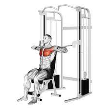 cable seated chest press