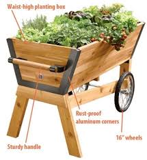 Search for diy raised garden beds now. Raised Garden Beds On Wheels Raised Garden Beds Planter Boxes Elevated Planter Box