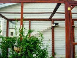 build an outdoor cat enclosure or catio