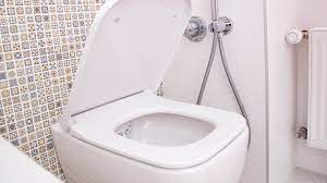 Replacing Your Toilet Seat