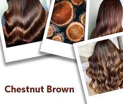 Light brown highlights add light, especially if you concentrate the color around the face. Chestnut Brown Hair Color Ideas Formulas Wella Professionals