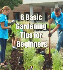 6 Basic Gardening Tips For Beginners