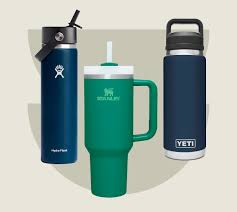 the 5 best insulated water bottles for