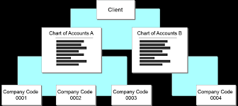 Chart Of Accounts List Sap Help Portal