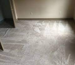 carpet cleaning in delaware maryland