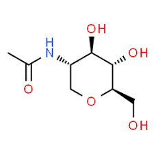 n acetyl glucosamine คือ dosage