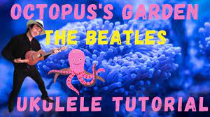 octopus s garden ukulele s