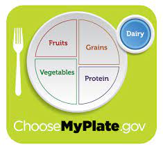 health with myplate dairy foods