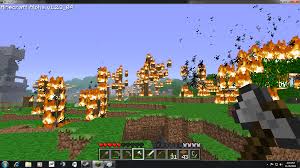 Image result for minecraft on fire