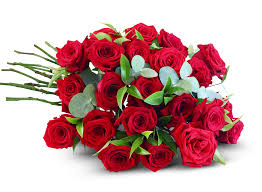 fall in love red rose bouquet blooms
