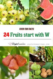 24 amazing fruits that start with w