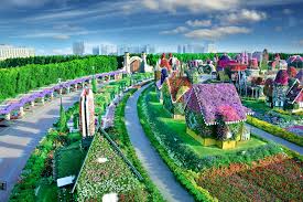 plan your visit dubai miracle garden