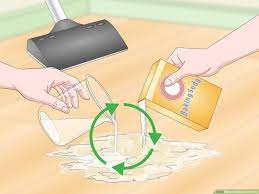 wikihow com images thumb 4 4f clean cat urine