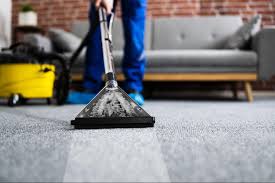 air duct and carpet cleaning services