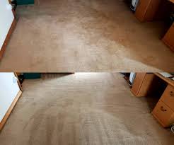 carpet cleaning services in paic