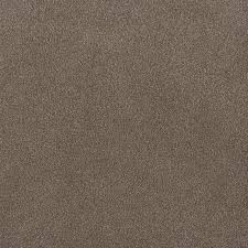 dreamweaver carpet palmetto i